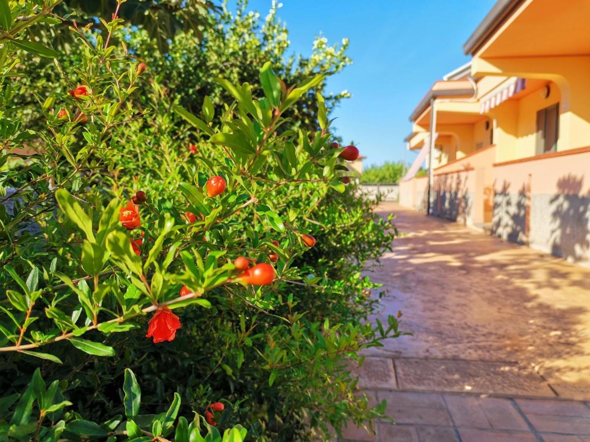 Le Zagare Case Vacanza Cropani Exterior foto